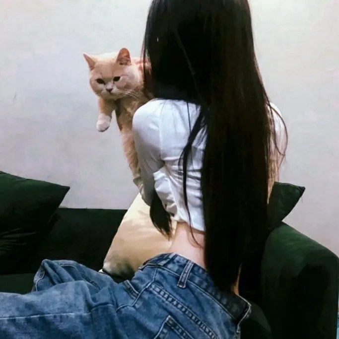 辛巴达穿破猛虎眼